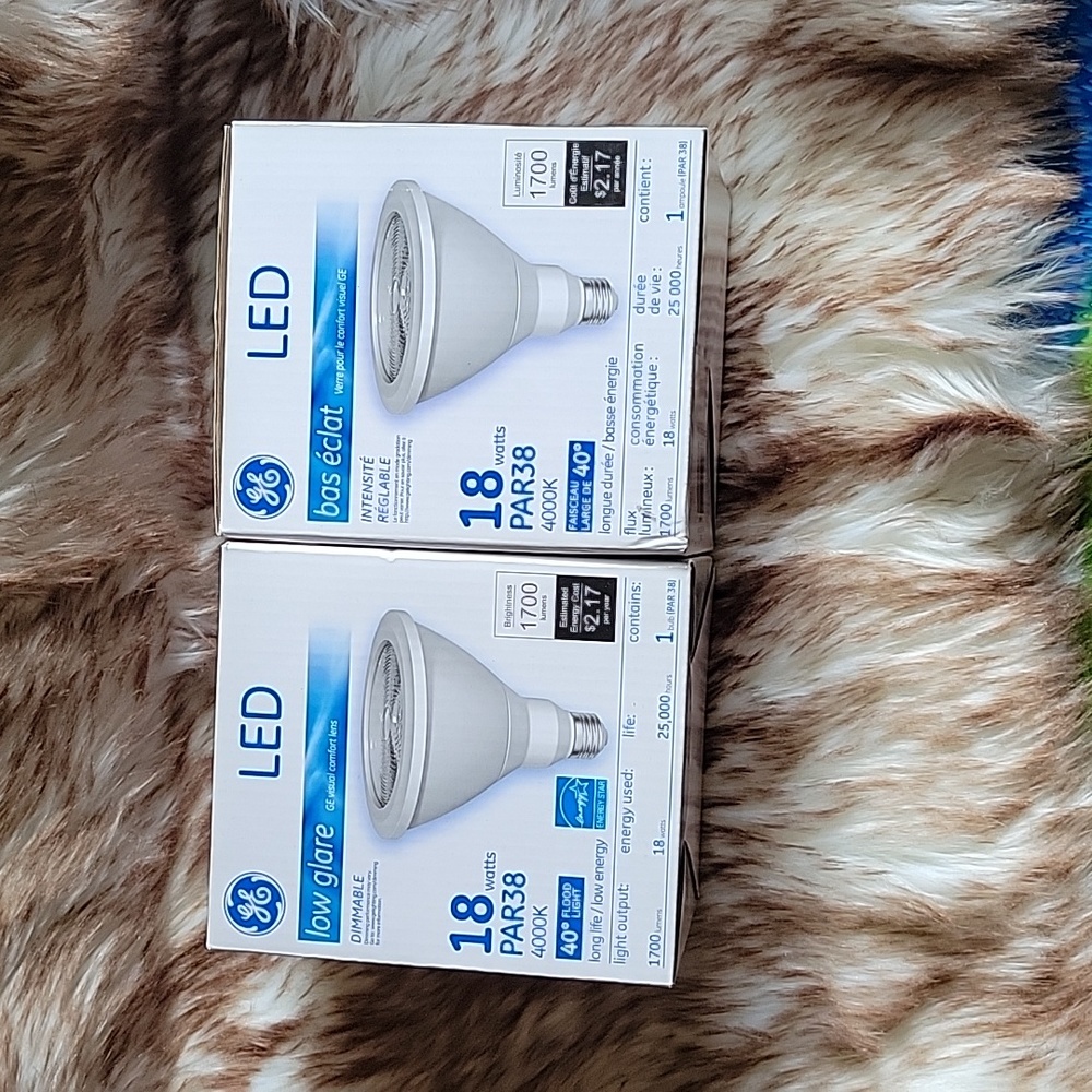 2-LED LIGHT BULBS.